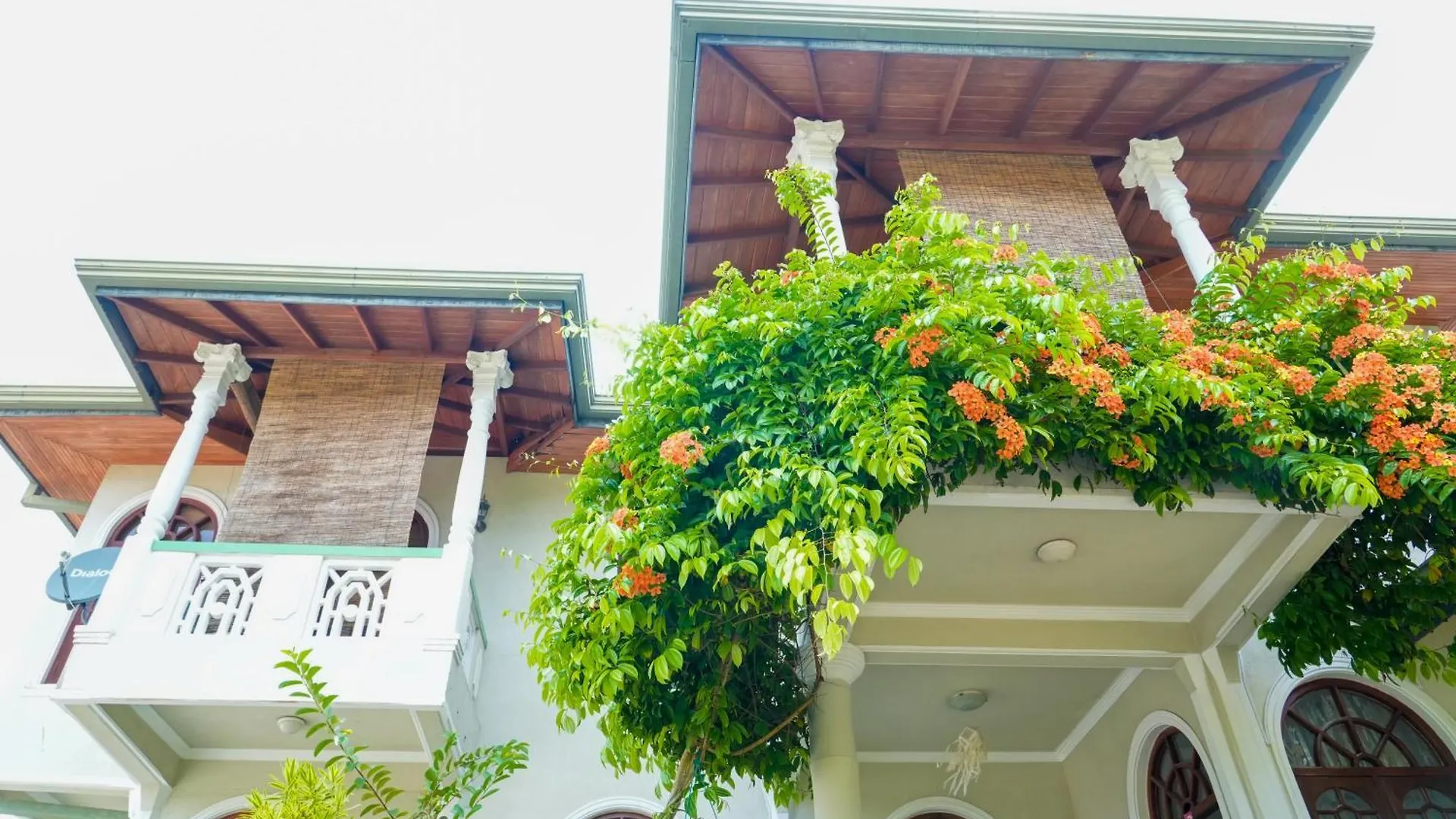 The Mist Residence Mapanawatura
